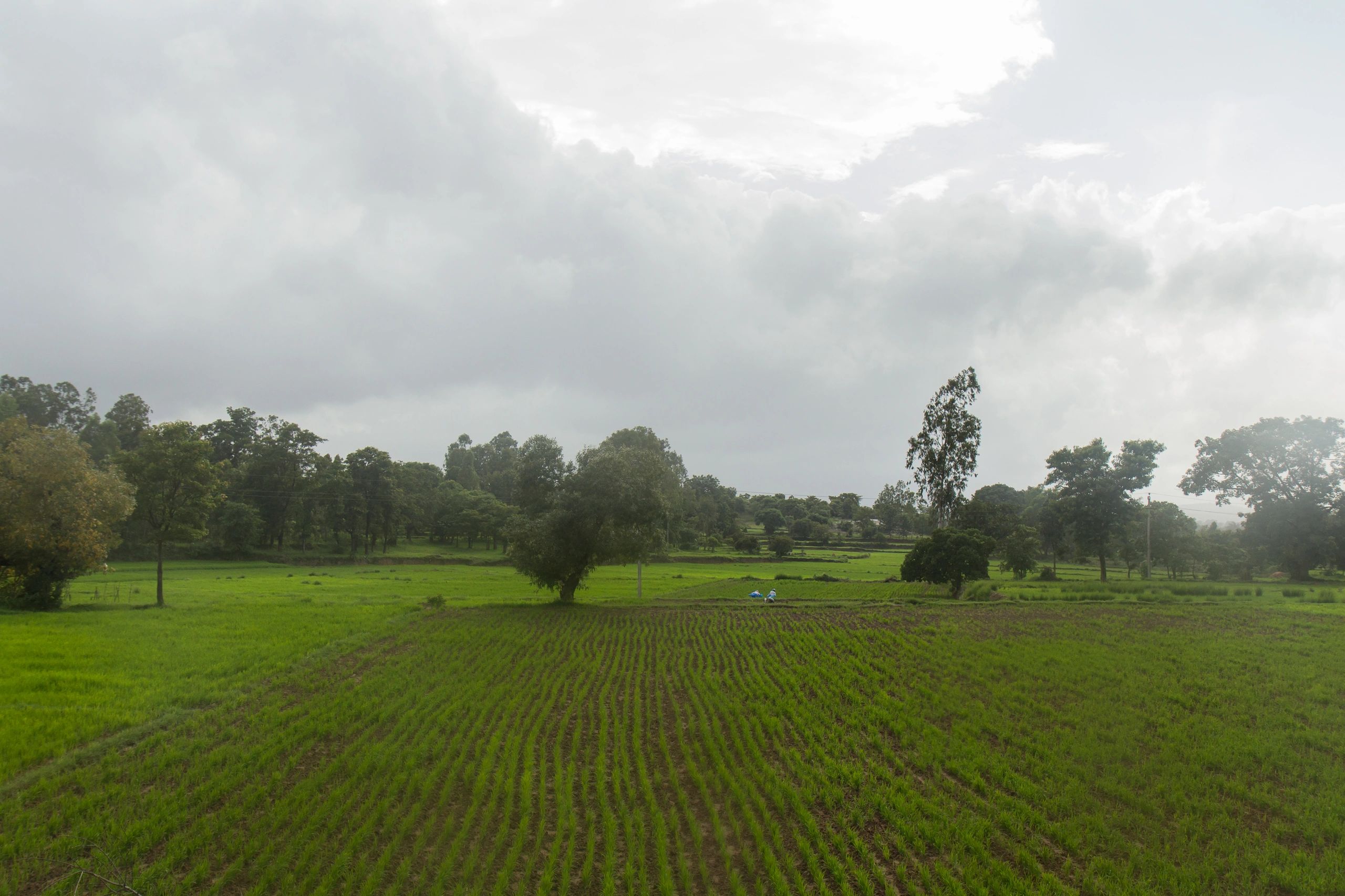 Green countryside landscape for nature retreat farm stay
